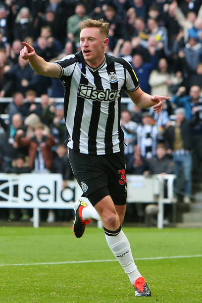 他在比较中 他在比较中